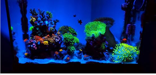 f0716b62519f3ffa8ecc138bf058848c.png