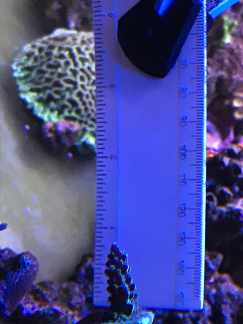 47064223232_717d441f64_z.jpg