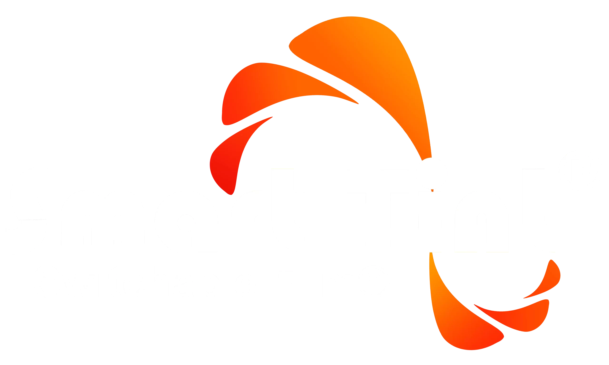 shop.smarttint.com