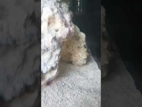 youtube.com