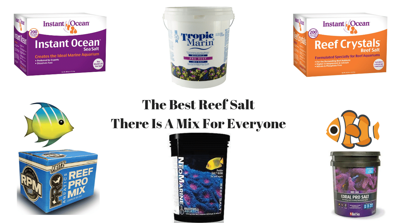 aquariumstoredepot.com