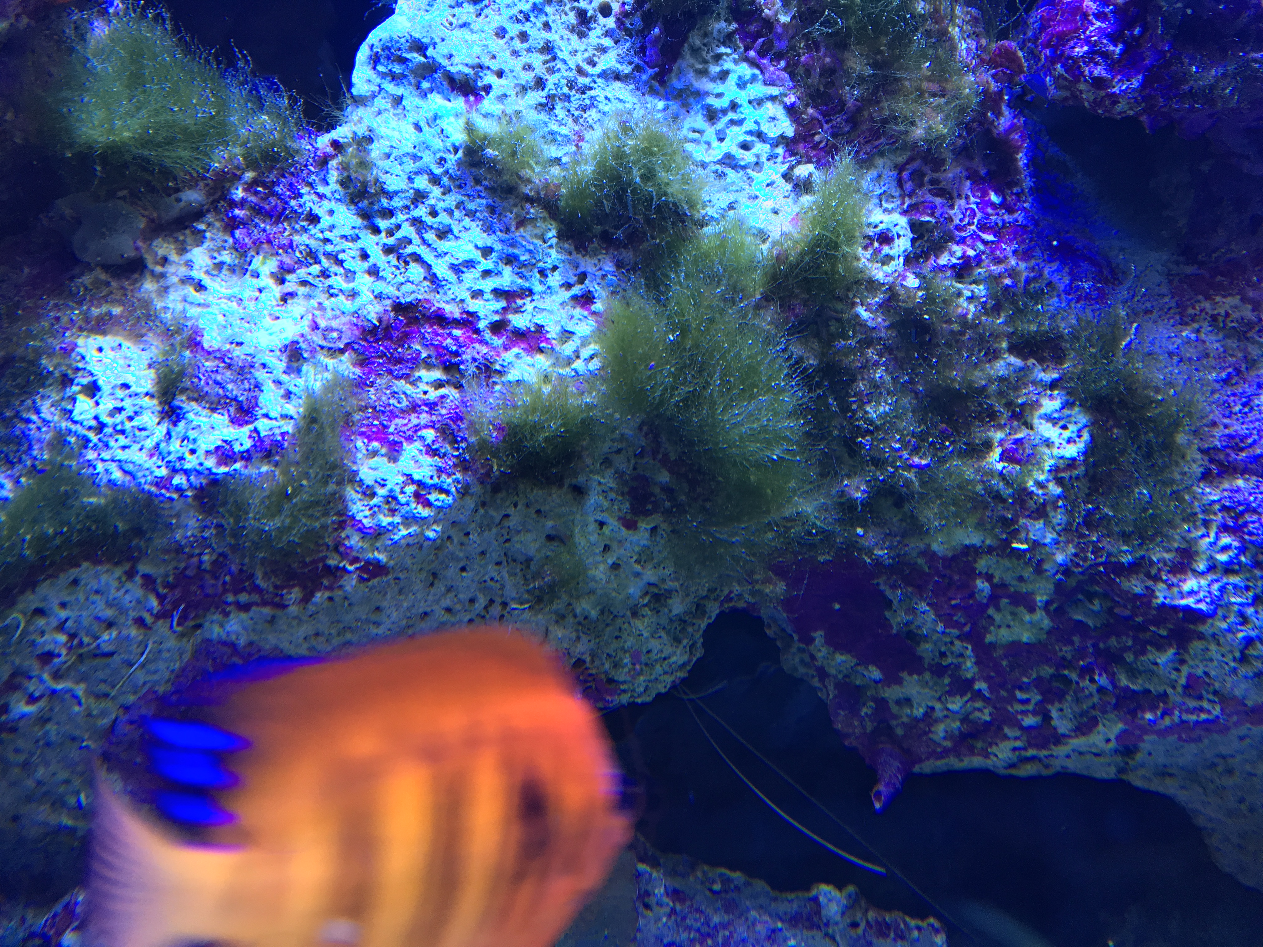 IMG-4538.jpg