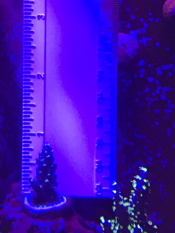 32667750308_0559283fd4_c.jpg