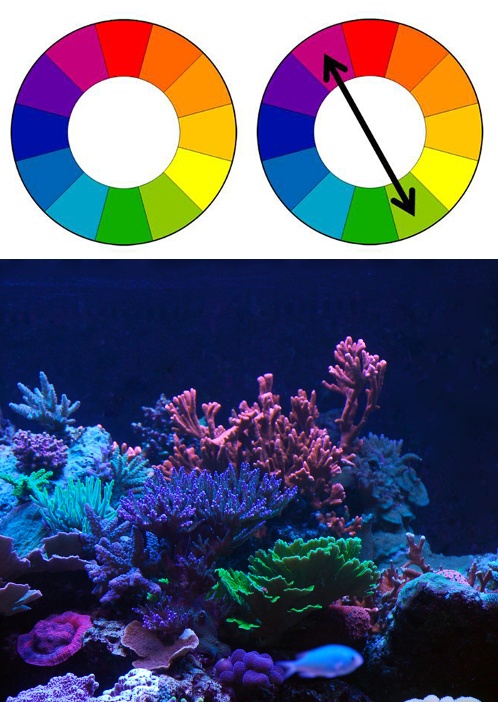 colorwheel1.jpg