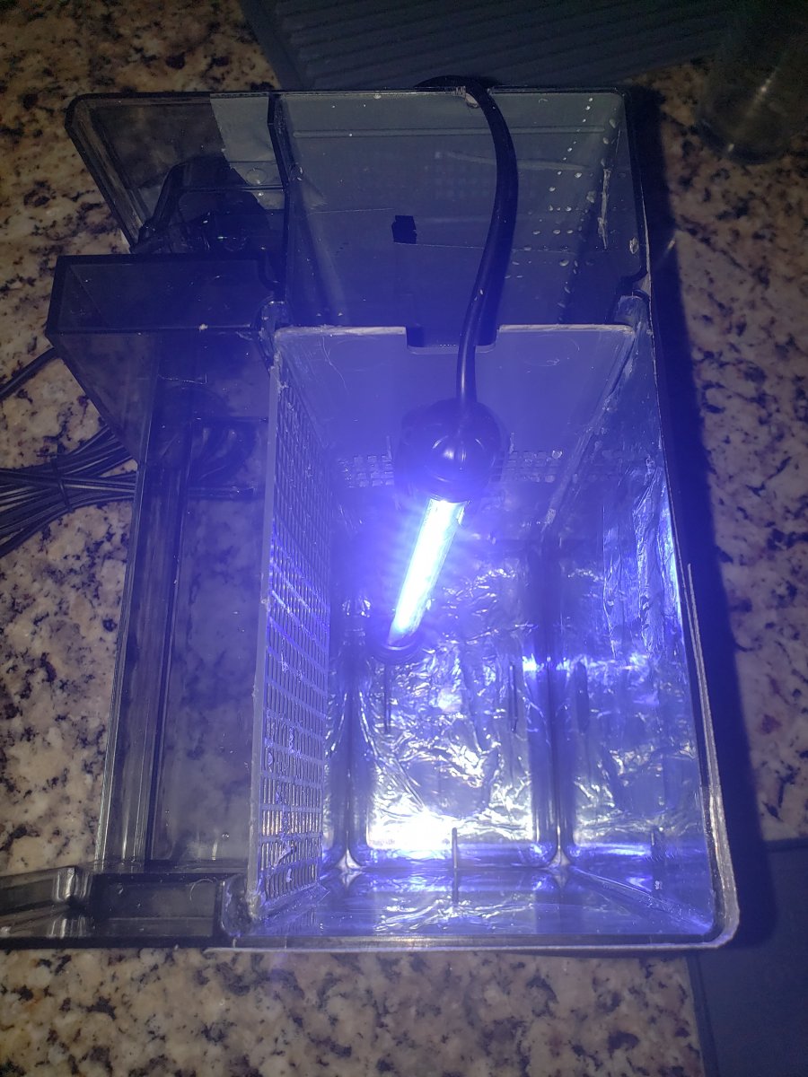 20201231_155541.jpg