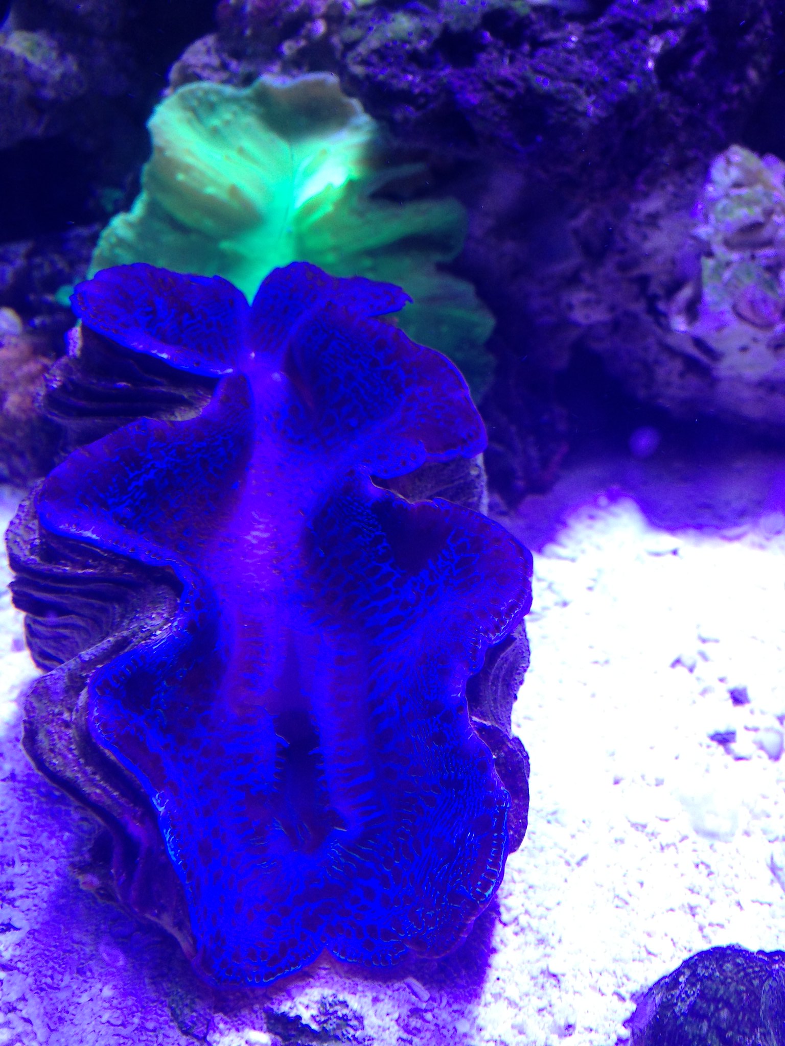 28771801432_a3d09a0c44_k.jpg