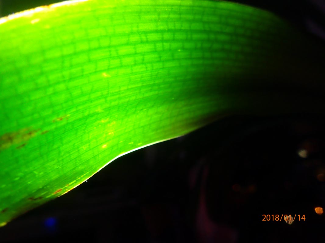 test2-jpg.652032