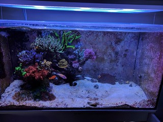 31501198096_133c8dbdd2_n.jpg
