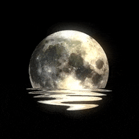 full moon art GIF by kidmograph