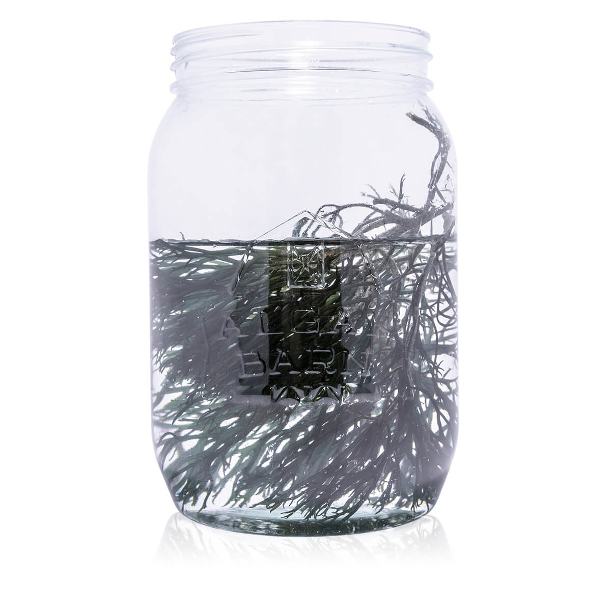 www.algaebarn.com