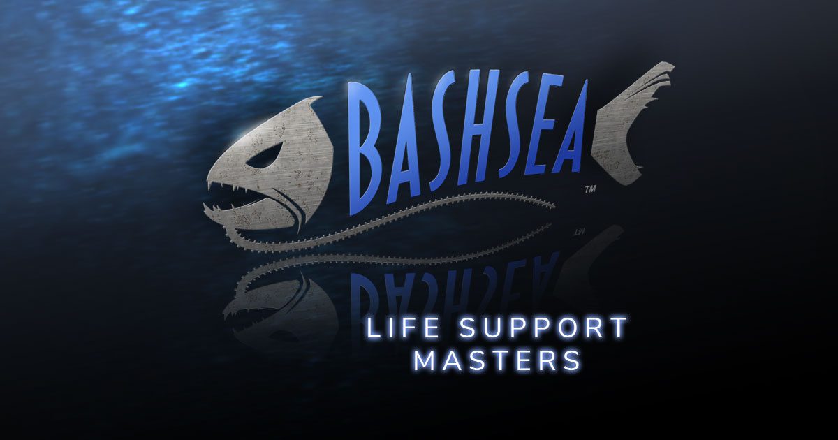 bashsea.com