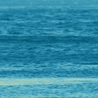 advanced spin GIF