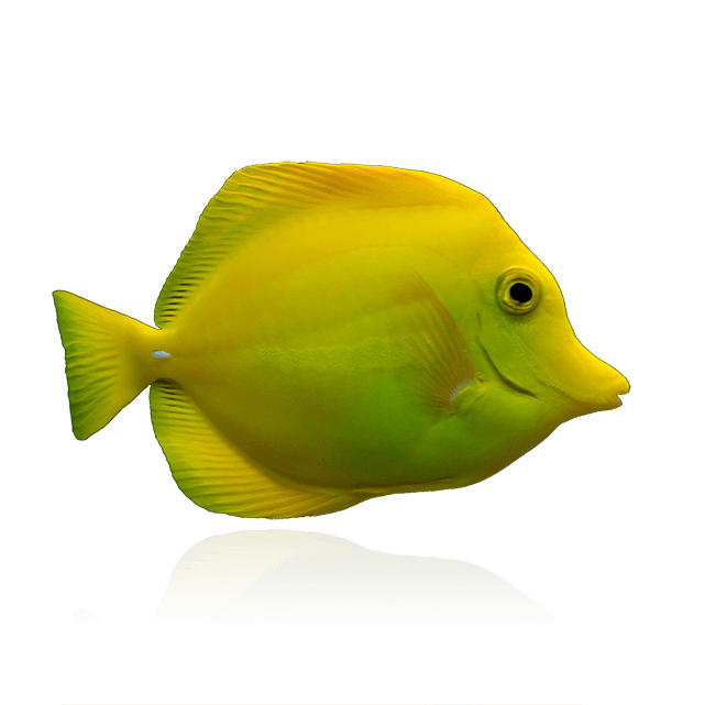 www.algaebarn.com