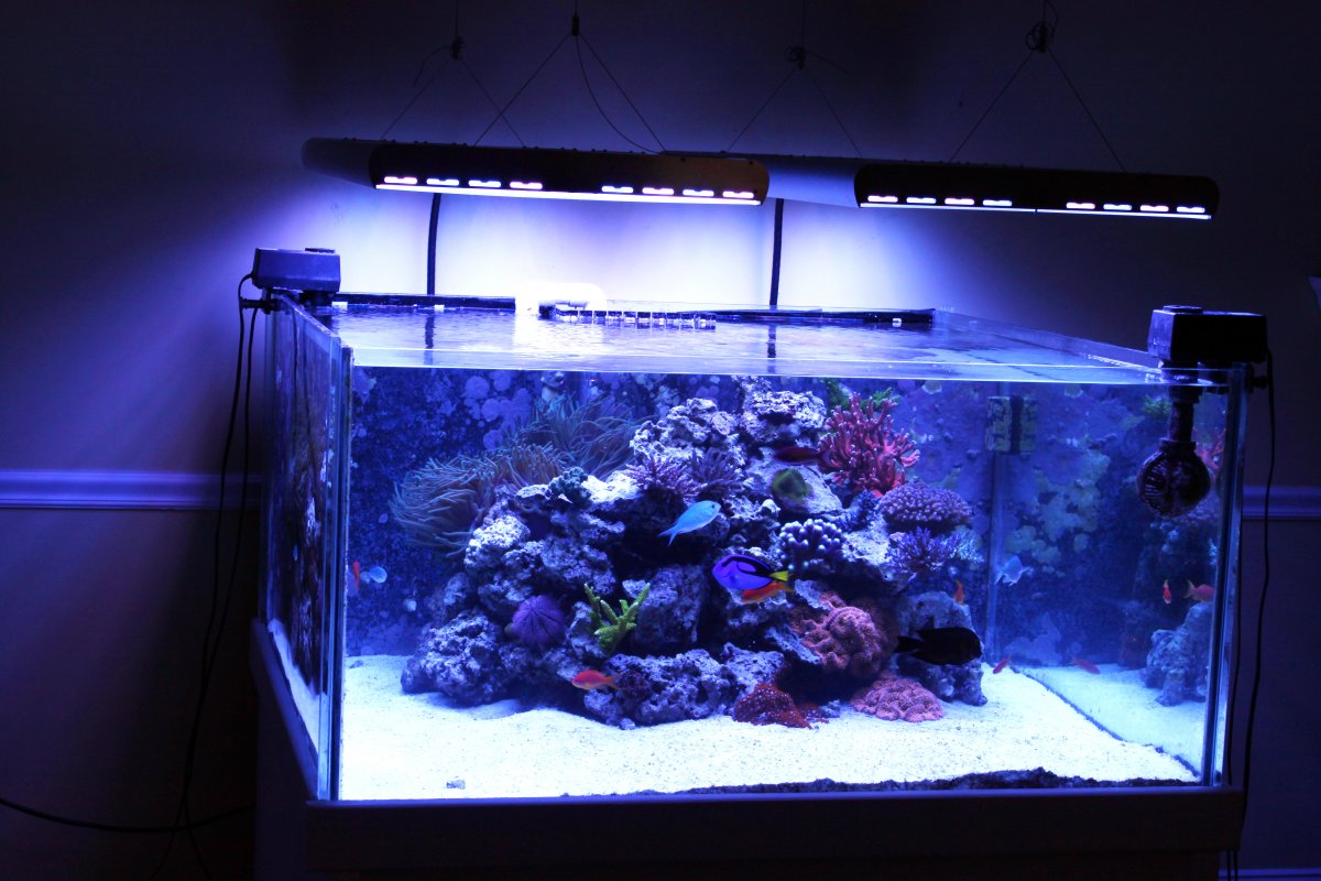 fts2-jpg.1135894
