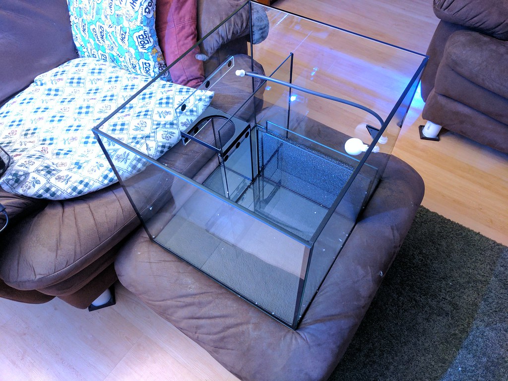 37078556426_295cf0579f_b.jpg
