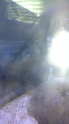 458946-0da9bc0400a39ca2e3e1bca6416c02ea.jpg