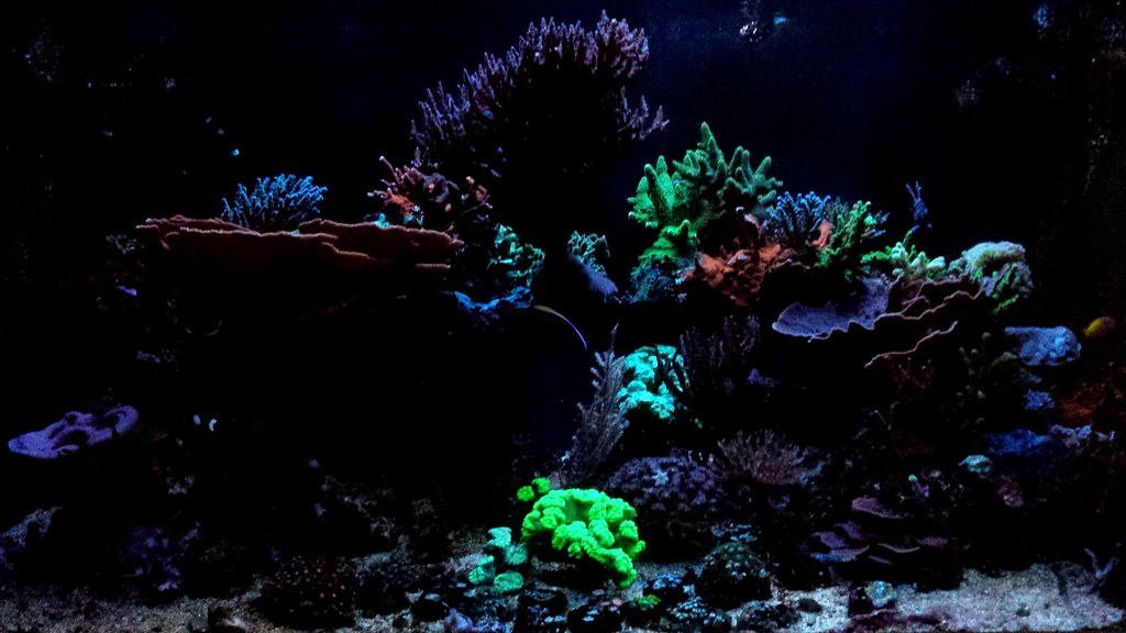 27049810485_3190e3915b_b.jpg