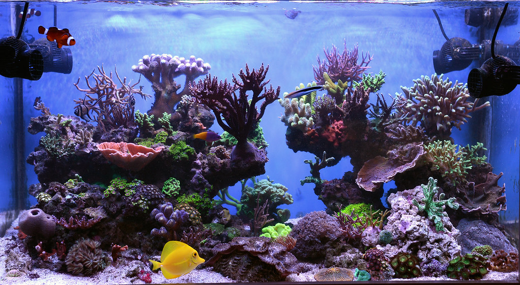 16470248832_0cf25e7d4d_b.jpg