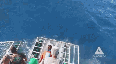 shark-shark-attack.gif