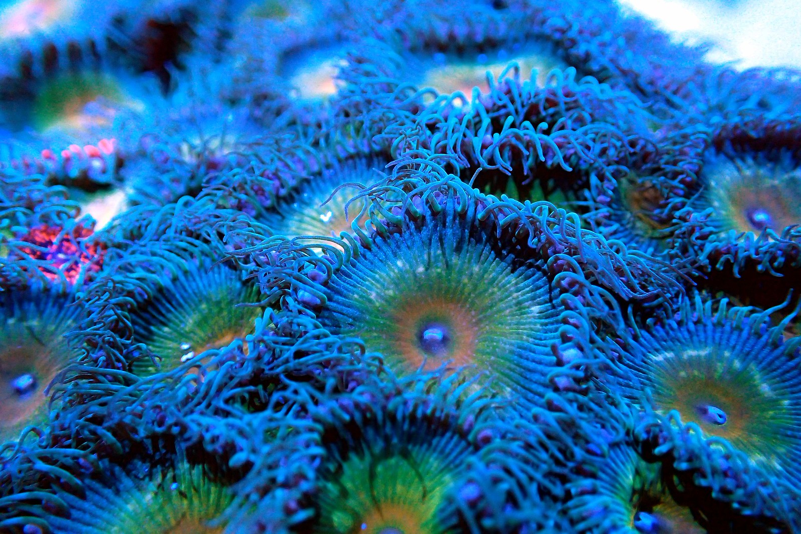 34967254104_60901c6e5e_h.jpg