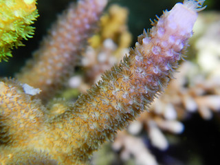 16922964959_c2781f6c77_n.jpg
