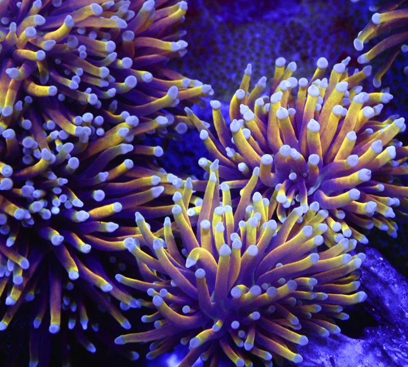 47995105101_66eb20c88e_c.jpg