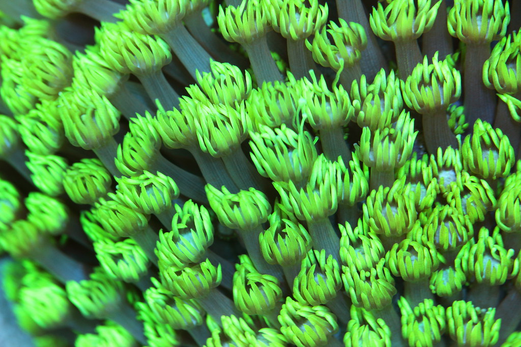 36283570744_5e6b607bbf_b.jpg