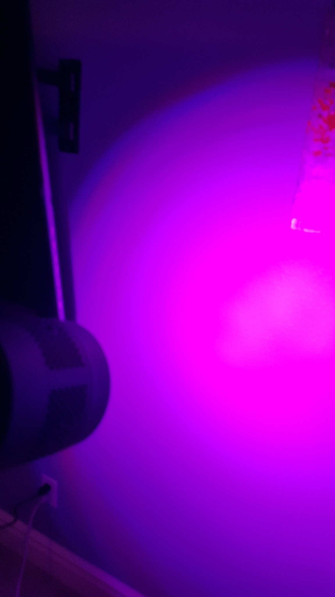 35417568773_dacdf9a328_k.jpg