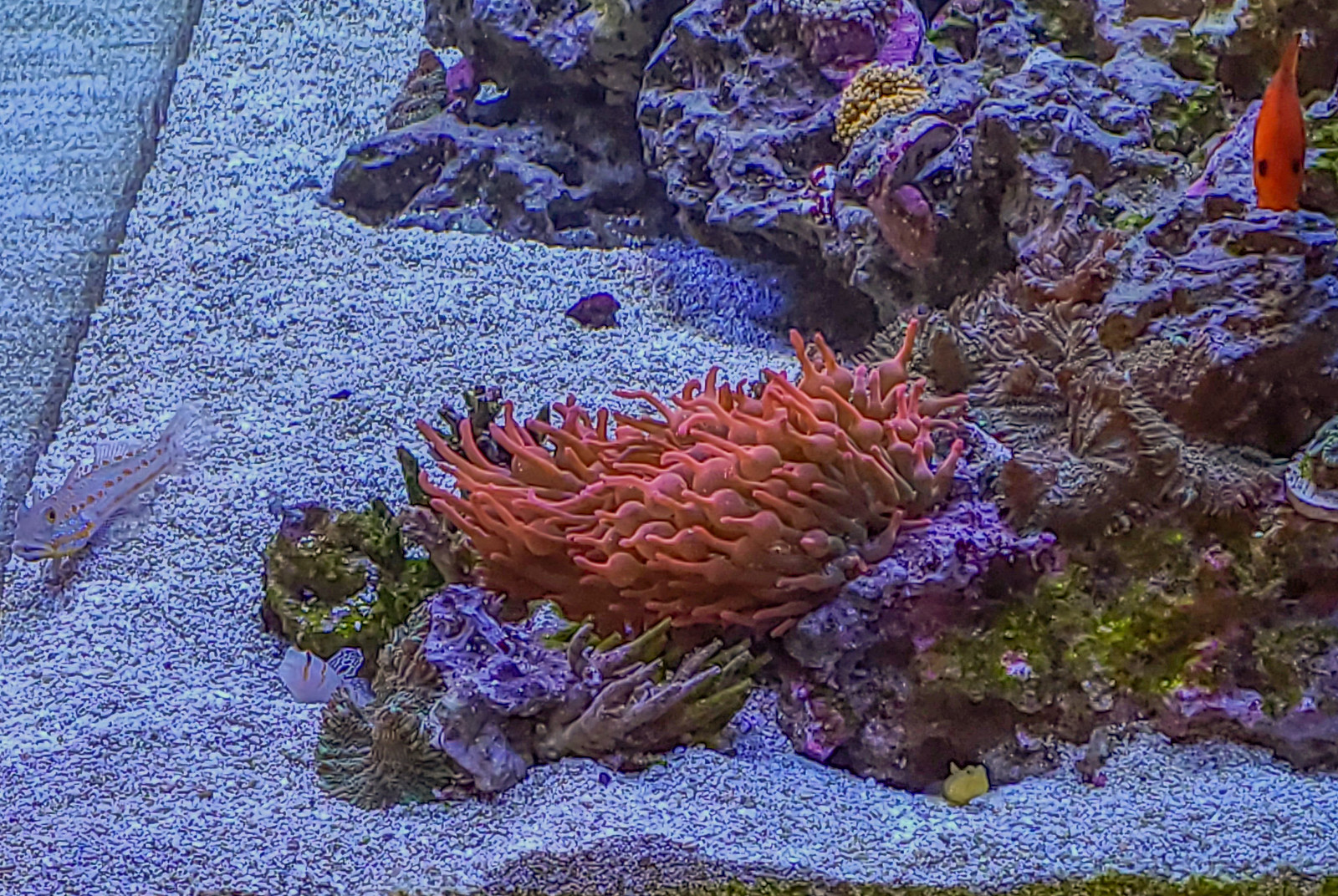 50091485367_7ee4d94562_h.jpg