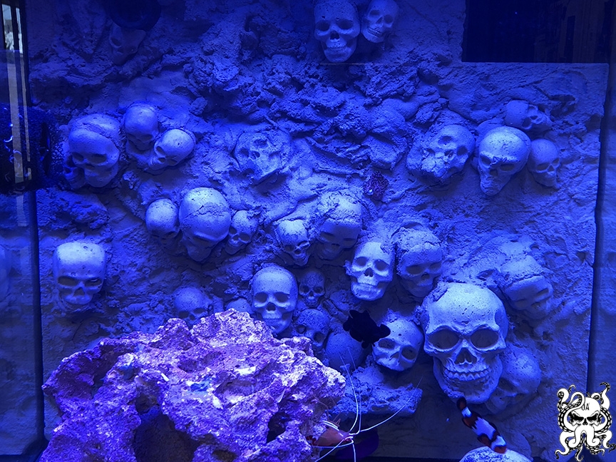 octo-cube025_sm.jpg