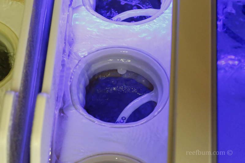 Sump-Pic-27.jpg
