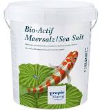 Salt.jpg
