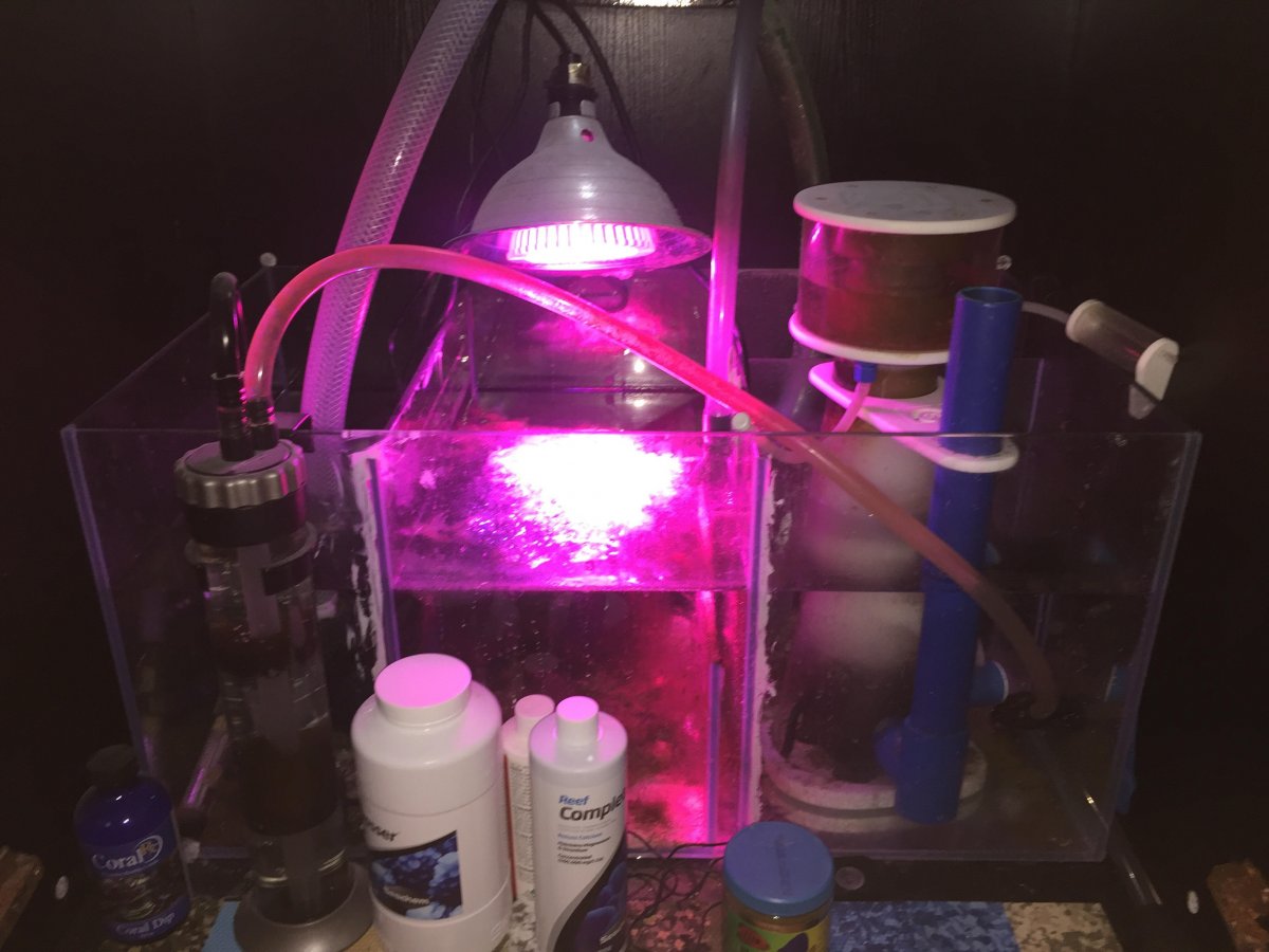 9-sump-jpg.696599