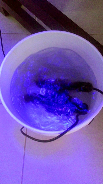 44620721904_ea4c164efd_z.jpg