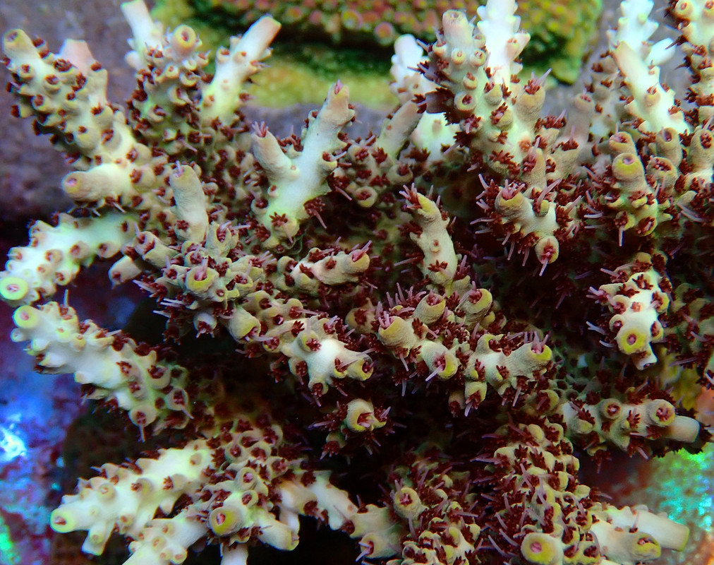 P7271418.jpg