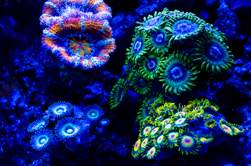 8530571323_f9e54b98f7_o.jpg