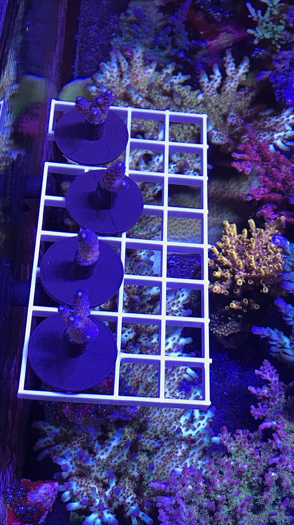 47937305707_b2b816316c_b.jpg