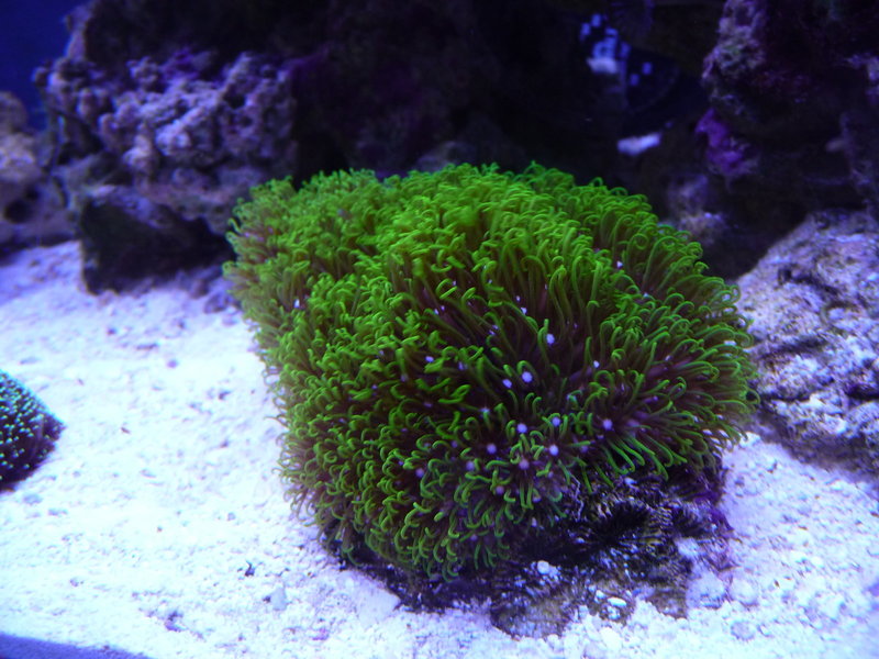 p1070067-jpg.432516