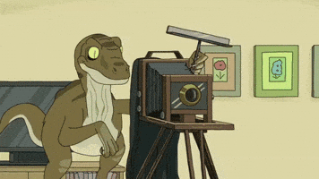 adult swim photo GIF by Rick and Morty