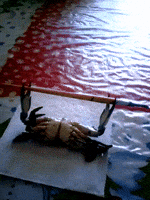 200.gif