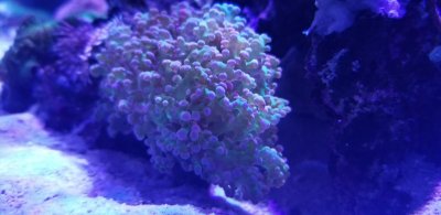 1059717-1e3a5adcb119e281c8ff2cccac1cf766.jpg