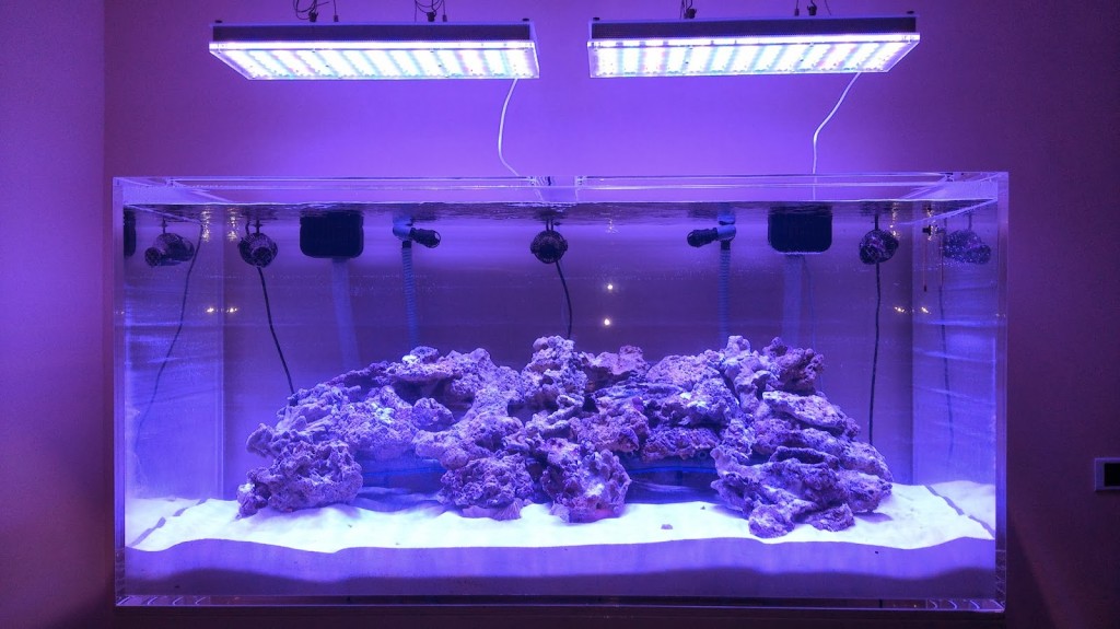 led-over-reef-tank-1024x575.jpg