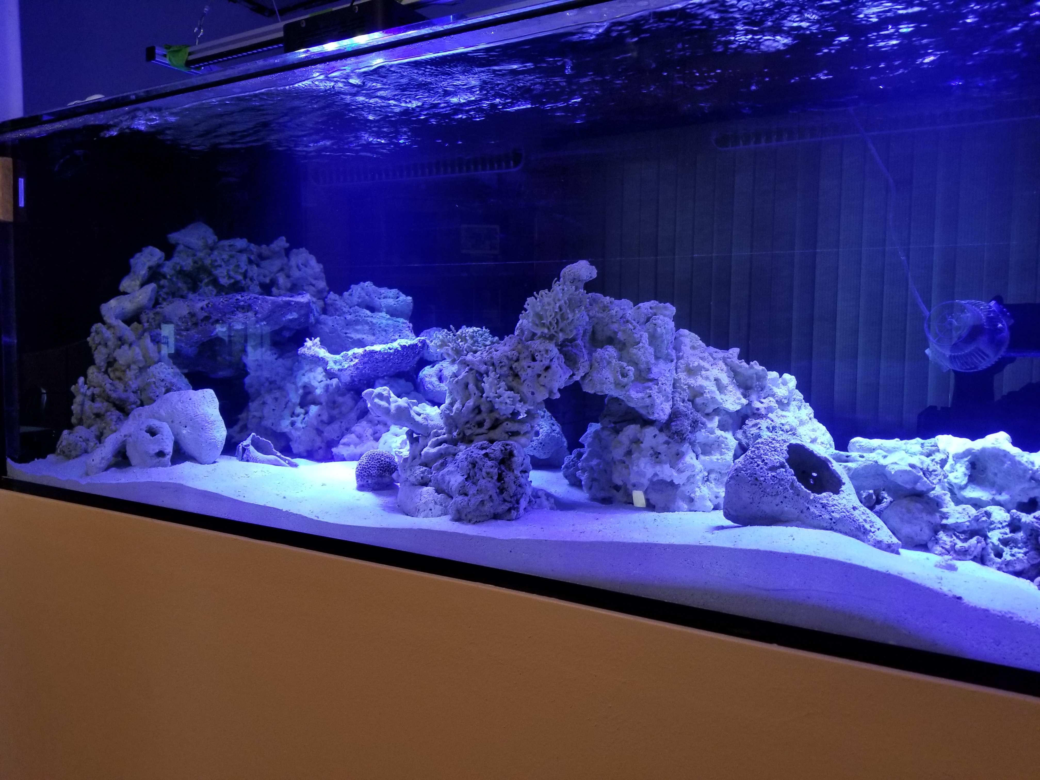 20180414_182759.jpg