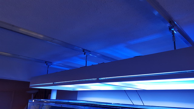 26428009925_e682eb0c68_z.jpg