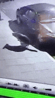 happens GIF