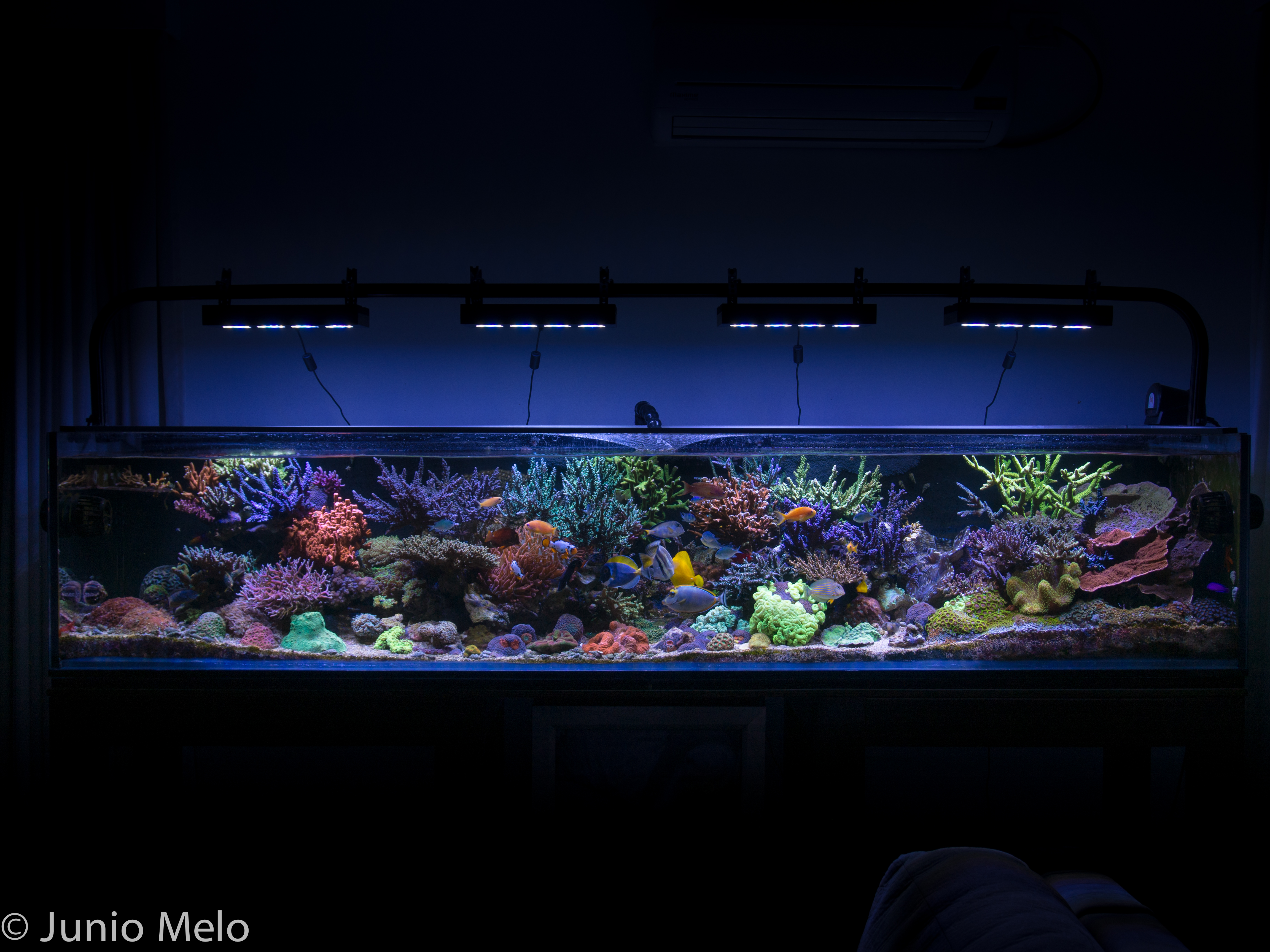 fts4-jpg.470869