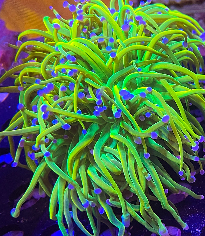 52661276476_c87f174d03_c.jpg