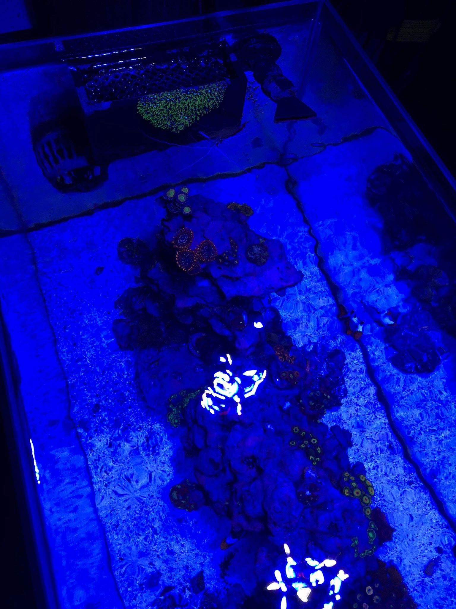 40650923064_227028e13a_k.jpg