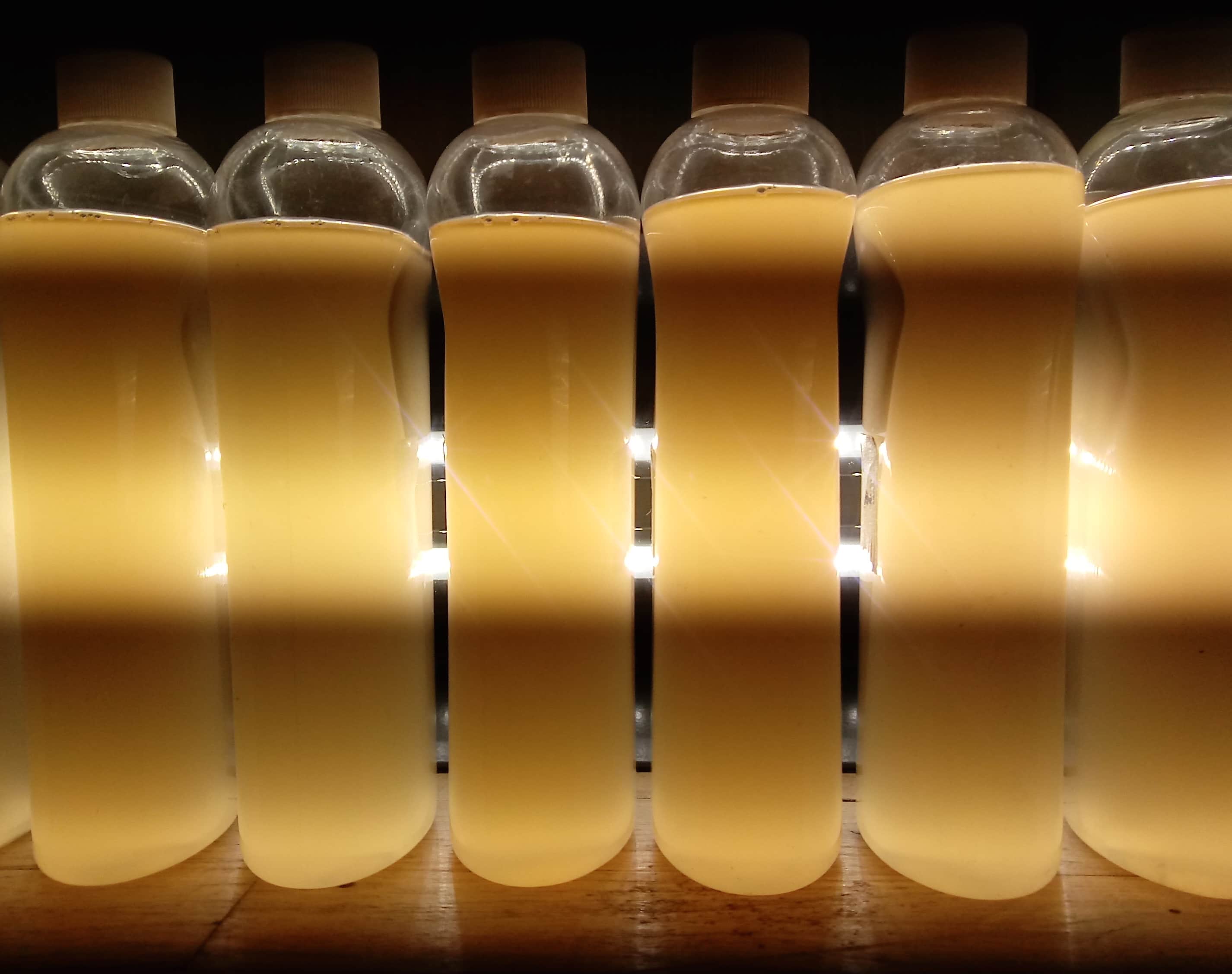 www.algaebarn.com