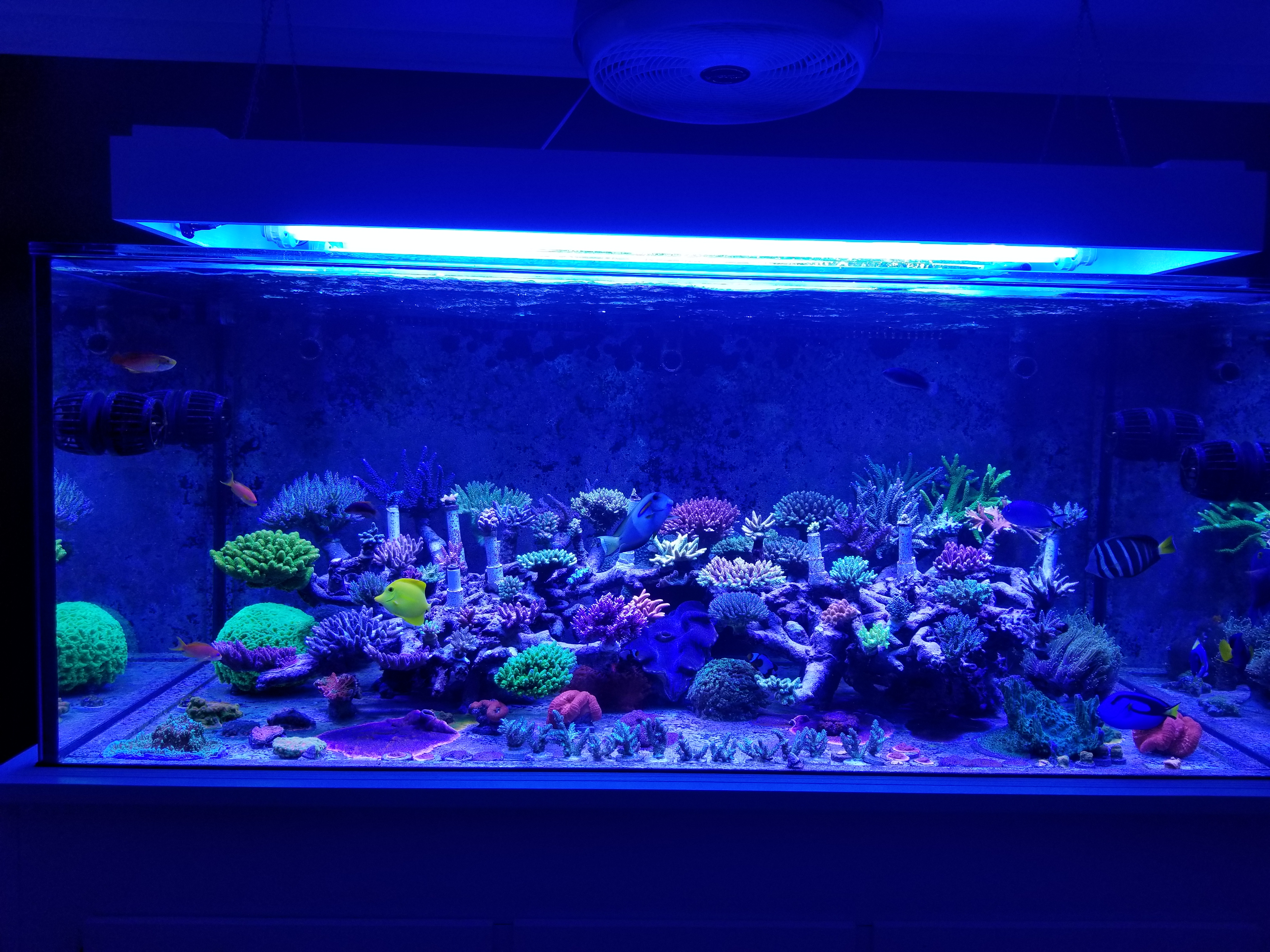 20180602_145850.jpg